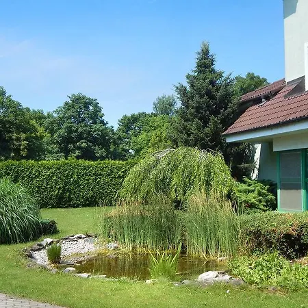 Guest house Doas 3*